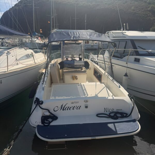 AIRON MARINE AIRON 223 FISH